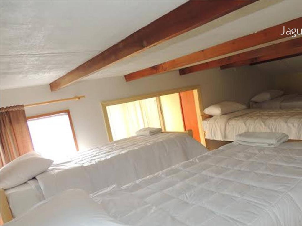 Hostel Jaguar Він'я-дель-Мар Номер фото